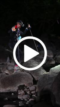 BIB:  <button type="button" onclick="openModal(28062741)" class="btn btn-primary btn-sm float-right" data-toggle="modal" data-target=".modal-high-quality">
                <i class="fa fa-download"></i> Download
                </button>